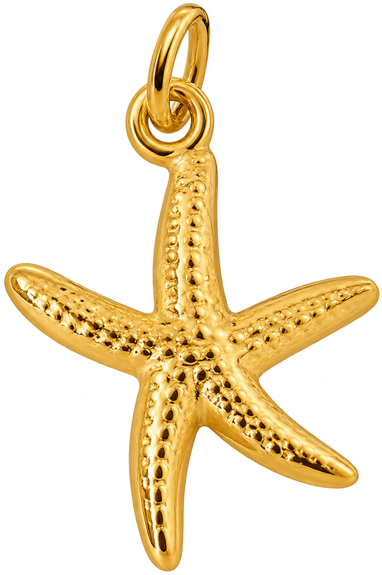 Seestern
