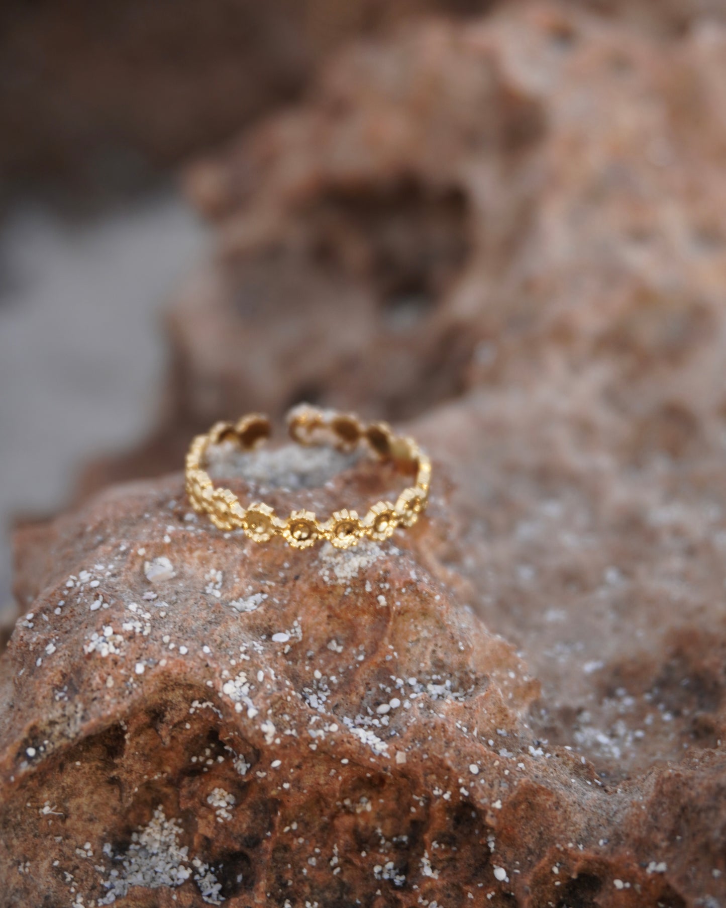Basic Ring