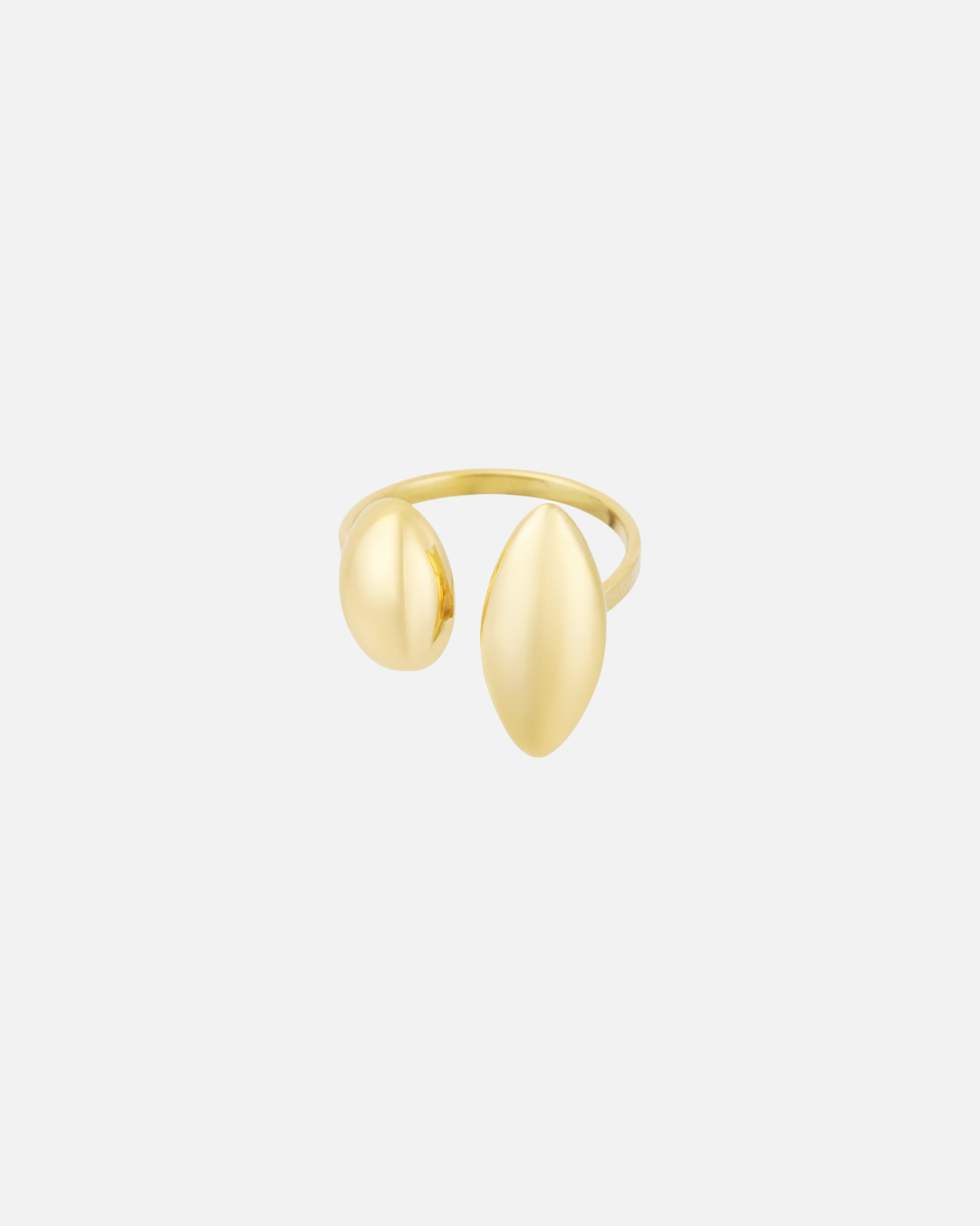 Ring Duo