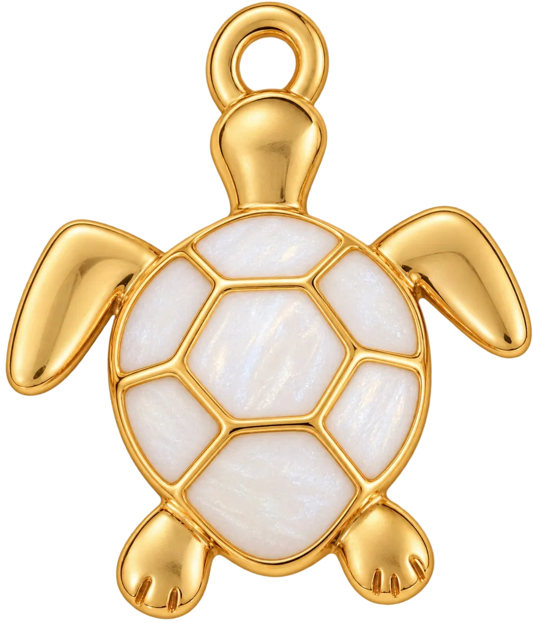 Schildkröte weiß