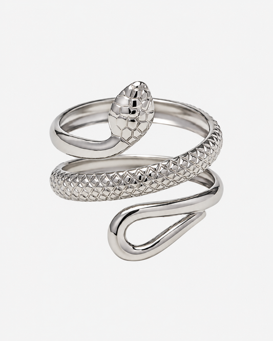 Schlangenring Silber